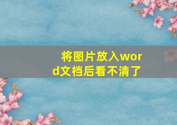 将图片放入word文档后看不清了