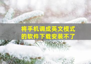 将手机调成英文模式的软件下载安装不了