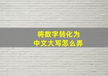 将数字转化为中文大写怎么弄