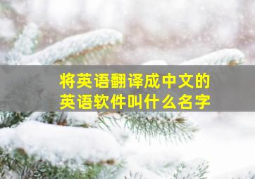 将英语翻译成中文的英语软件叫什么名字