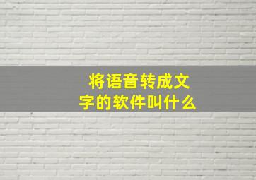 将语音转成文字的软件叫什么