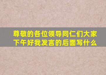 尊敬的各位领导同仁们大家下午好我发言的后面写什么