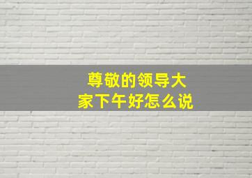 尊敬的领导大家下午好怎么说