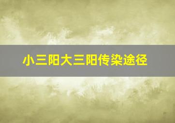 小三阳大三阳传染途径