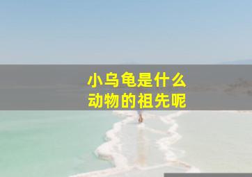 小乌龟是什么动物的祖先呢