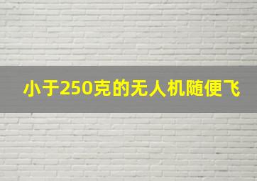 小于250克的无人机随便飞