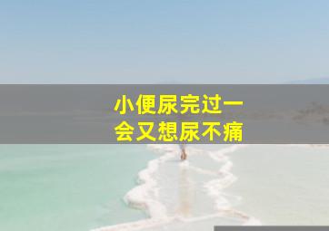 小便尿完过一会又想尿不痛