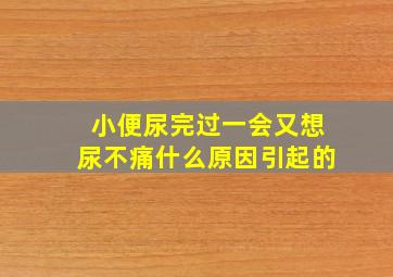 小便尿完过一会又想尿不痛什么原因引起的