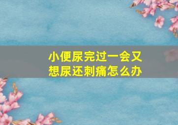 小便尿完过一会又想尿还刺痛怎么办