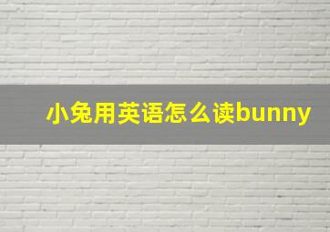 小兔用英语怎么读bunny