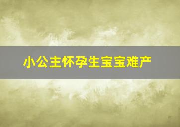 小公主怀孕生宝宝难产