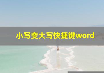 小写变大写快捷键word