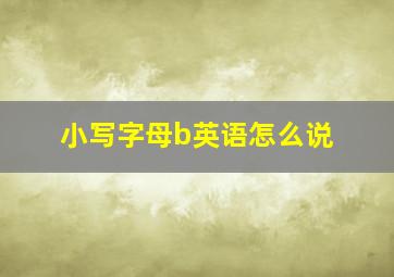 小写字母b英语怎么说