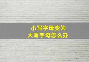 小写字母变为大写字母怎么办