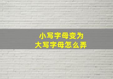 小写字母变为大写字母怎么弄