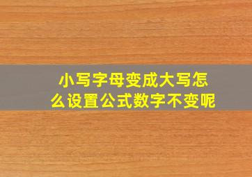 小写字母变成大写怎么设置公式数字不变呢