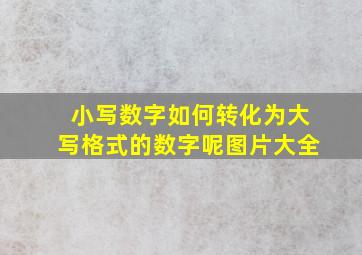 小写数字如何转化为大写格式的数字呢图片大全