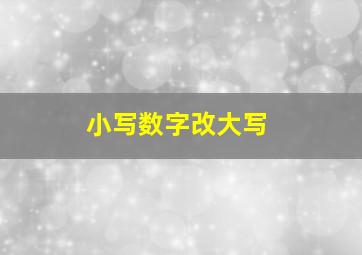 小写数字改大写