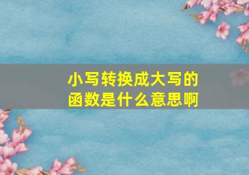 小写转换成大写的函数是什么意思啊