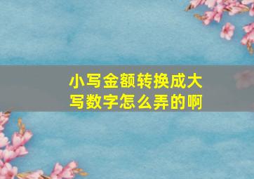 小写金额转换成大写数字怎么弄的啊