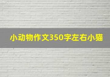 小动物作文350字左右小猫