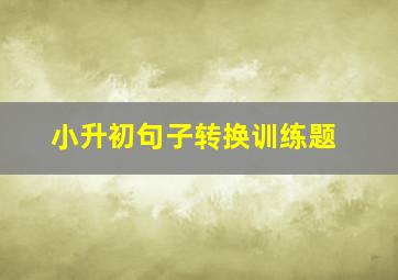 小升初句子转换训练题