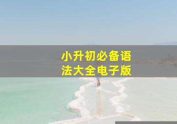 小升初必备语法大全电子版