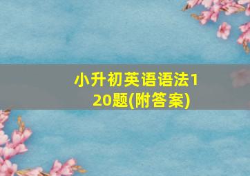 小升初英语语法120题(附答案)