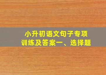 小升初语文句子专项训练及答案一、选择题
