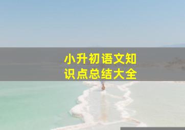 小升初语文知识点总结大全