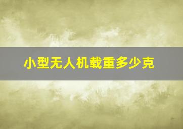 小型无人机载重多少克