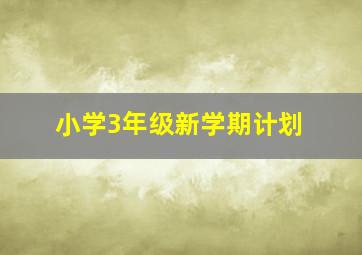 小学3年级新学期计划