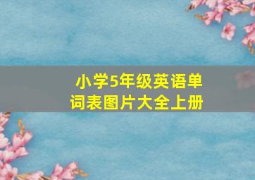 小学5年级英语单词表图片大全上册