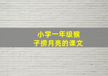 小学一年级猴子捞月亮的课文