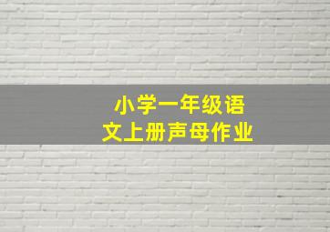 小学一年级语文上册声母作业