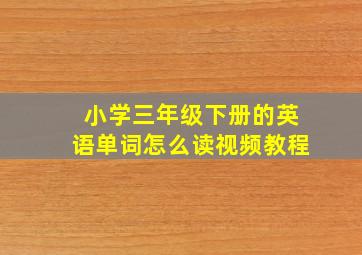 小学三年级下册的英语单词怎么读视频教程