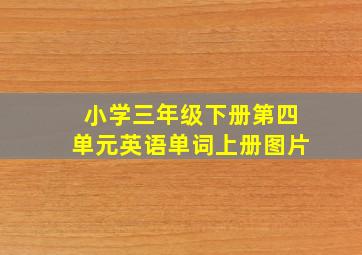 小学三年级下册第四单元英语单词上册图片