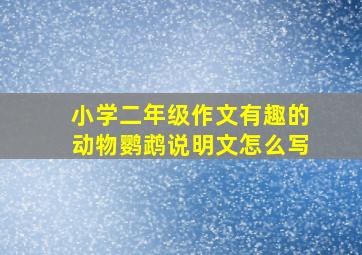 小学二年级作文有趣的动物鹦鹉说明文怎么写