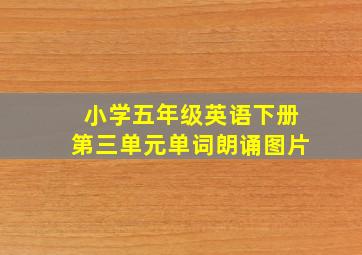 小学五年级英语下册第三单元单词朗诵图片