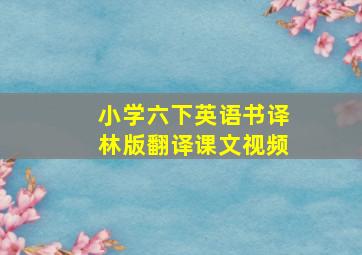 小学六下英语书译林版翻译课文视频