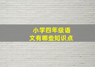 小学四年级语文有哪些知识点