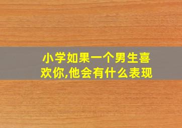 小学如果一个男生喜欢你,他会有什么表现