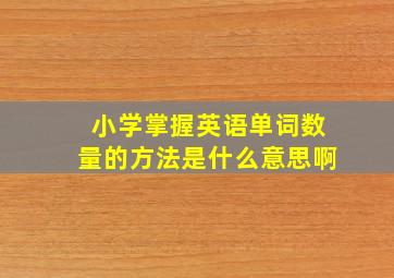 小学掌握英语单词数量的方法是什么意思啊