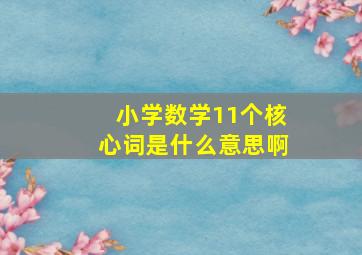 小学数学11个核心词是什么意思啊