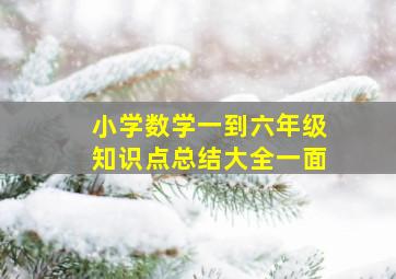 小学数学一到六年级知识点总结大全一面