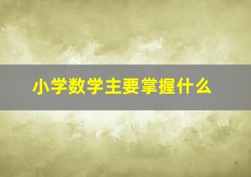 小学数学主要掌握什么