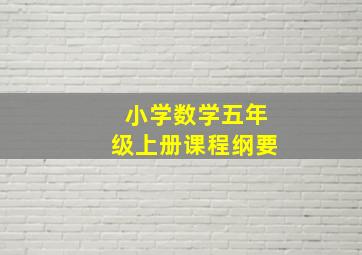 小学数学五年级上册课程纲要