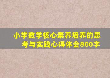 小学数学核心素养培养的思考与实践心得体会800字