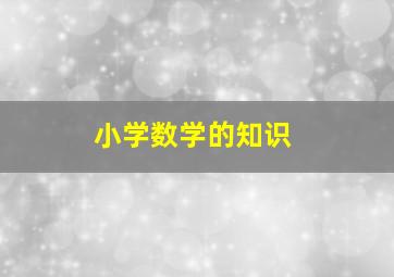 小学数学的知识