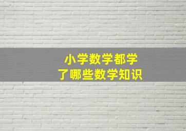 小学数学都学了哪些数学知识